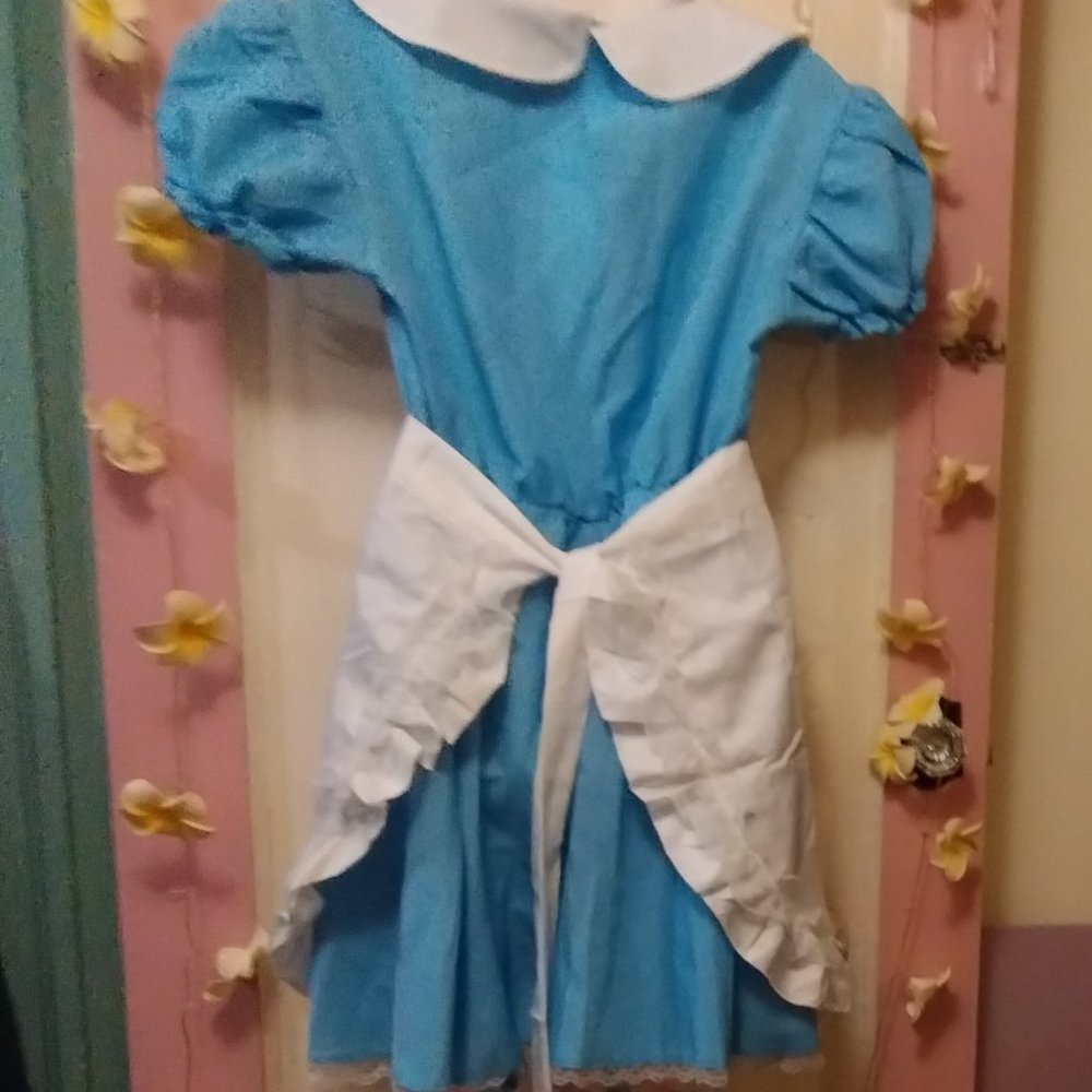 Fun Shack (M) French Maid in Blue with Apron - Picture 8 of 13